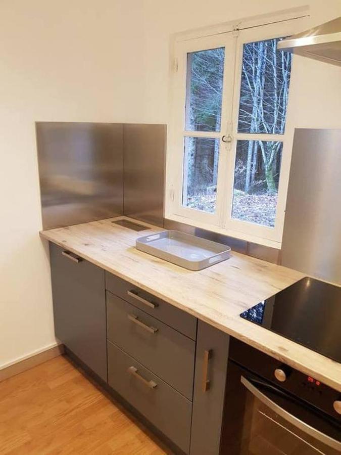 Chalet Du De Chaumecon Avec Etang Prive Brassy